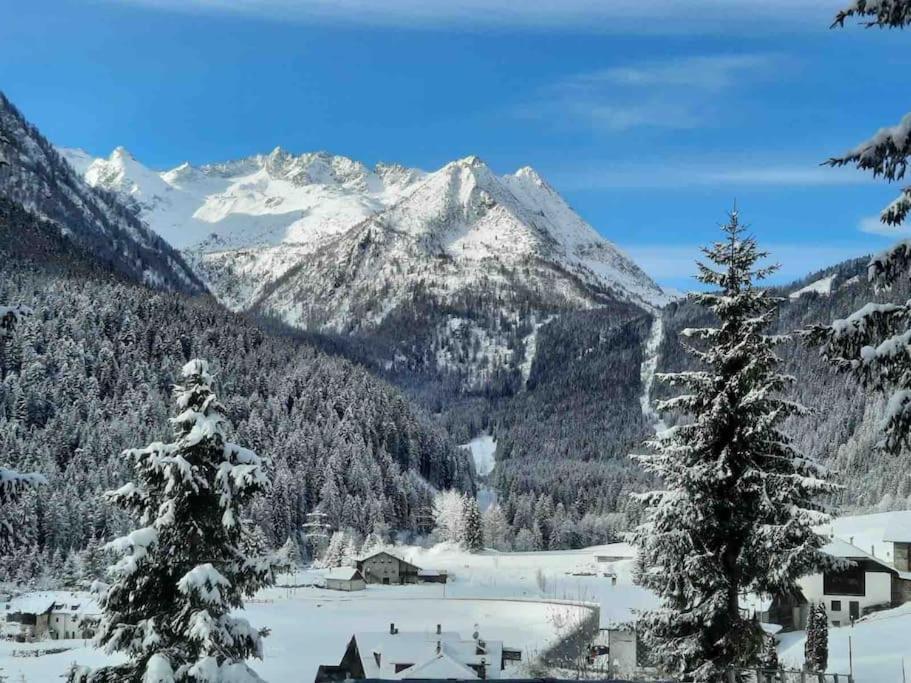 Chalet Rustico Bertolini Per Gruppi! Βίλα Vermiglio Εξωτερικό φωτογραφία